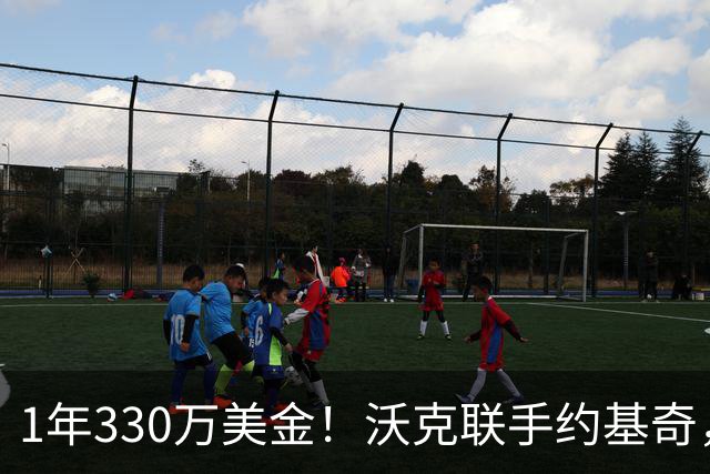 1年330万美金！沃克联手约基奇，掘金酝酿沃特森大交易
